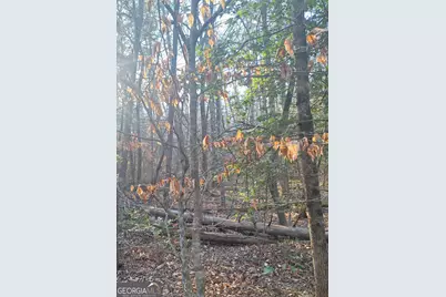 0 Bent Wood Lane, Blue Ridge, GA 30513 - Photo 6