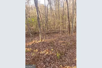 0 Bent Wood Lane, Blue Ridge, GA 30513 - Photo 10