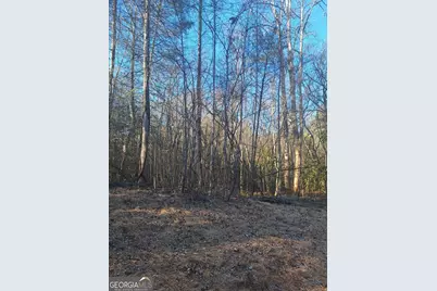 0 Bent Wood Lane, Blue Ridge, GA 30513 - Photo 2