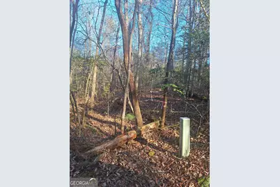 0 Bent Wood Lane, Blue Ridge, GA 30513 - Photo 4