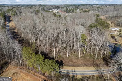 0 J B Owens Road, Bethlehem, GA 30620 - Photo 22