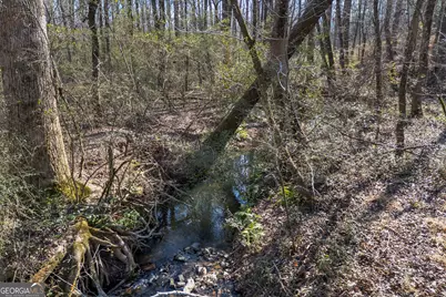 0 J B Owens Road, Bethlehem, GA 30620 - Photo 24