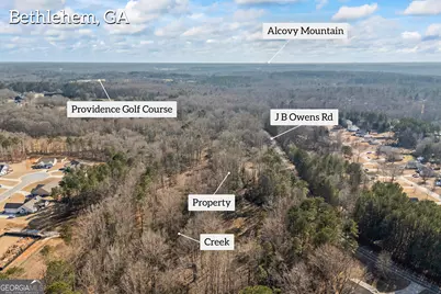 0 J B Owens Road, Bethlehem, GA 30620 - Photo 4