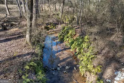 0 J B Owens Road, Bethlehem, GA 30620 - Photo 6