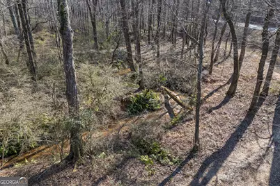 0 J B Owens Road, Bethlehem, GA 30620 - Photo 22