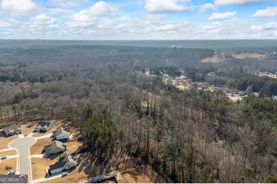 0 J B Owens Road, Bethlehem, GA 30620 - Photo 14