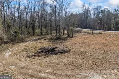 0 J B Owens Road, Bethlehem, GA 30620 - Photo 4