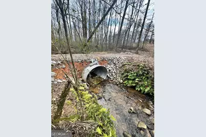 0 J B Owens Road, Bethlehem, GA 30620 - Photo 10