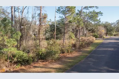 V/L 59 Timucuan Court, Saint Marys, GA 31558 - Photo 22