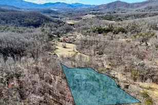 2912 Gribble Edwards Rd, Hayesville, NC 28904 - Photo 36