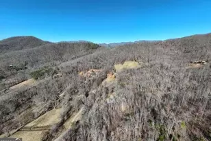 2912 Gribble Edwards Rd, Hayesville, NC 28904 - Photo 34