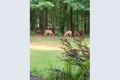 2100 Morgan Lane, Covington, GA 30014 - Photo 52