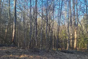 Lots 15A 16A 17 Mill Creek Acres Ln, Blue Ridge, GA 30513 - Photo 1