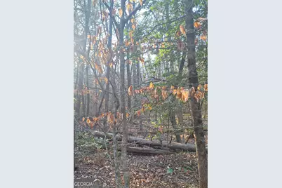 Lots 15A 16A 17 Mill Creek Acres Lane, Blue Ridge, GA 30513 - Photo 2