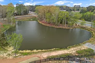 1125 Holland Rose Dr, Lawrenceville, GA 30043 - Photo 60