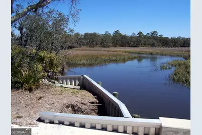 Lot 165 Sunrise Drive, Woodbine, GA 31569 - Photo 6