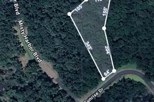 Lot 165 Sunrise Dr, Woodbine, GA 31569 - Photo 1