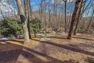 383 Bayberry Ln, Sky Valley, GA 30537 - Photo 66