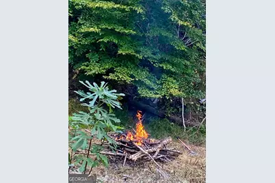 197 Evecliff Drive, Dallas, GA 30132 - Photo 46