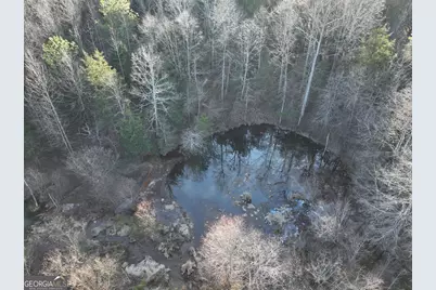 61 Highway 145, Eastanollee, GA 30538 - Photo 22