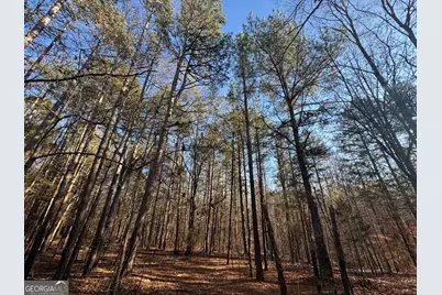 61 Highway 145, Eastanollee, GA 30538 - Photo 4