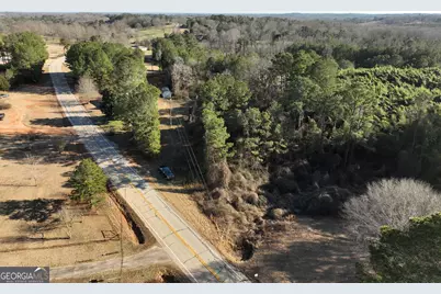 61 Highway 145, Eastanollee, GA 30538 - Photo 8