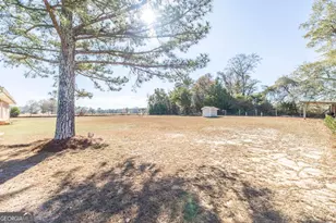 26 Mt Olive Church Rd, Reynolds, GA 31076 - Photo 2