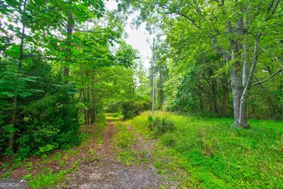 6439 S Chestatee Street, Dahlonega, GA 30533 - Photo 6