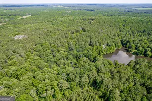 1041 River Farm Way, Madison, GA 30650 - Photo 62