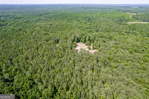 1041 River Farm Way, Madison, GA 30650 - Photo 58