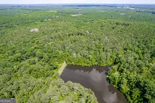 1041 River Farm Way, Madison, GA 30650 - Photo 60