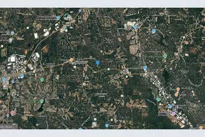 49 Spring Forest Trail, Sharpsburg, GA 30277 - Photo 4