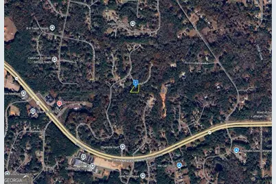 49 Spring Forest Trail, Sharpsburg, GA 30277 - Photo 2