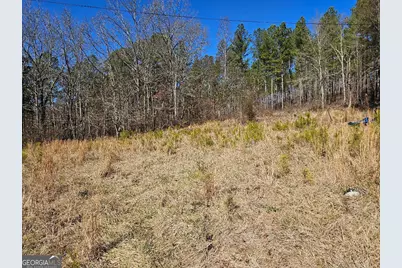 914 Chubbtown Rd, Cedartown, GA 30125 - Photo 10