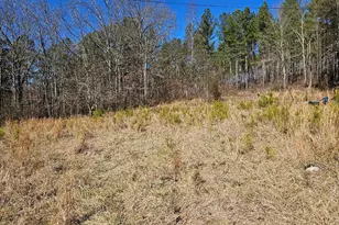 914 Chubbtown Rd, Cedartown, GA 30125 - Photo 10