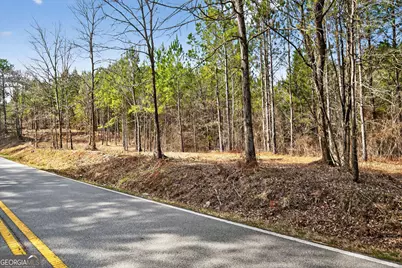 Lots 1/2/3 Lower Harmony Rd, Eatonton, GA 31024 - Photo 4