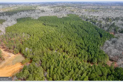 Lots 1/2/3 Lower Harmony Rd, Eatonton, GA 31024 - Photo 10