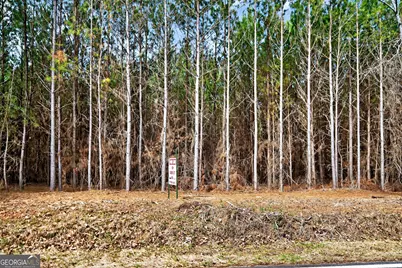 Lots 1/2/3 Lower Harmony Rd, Eatonton, GA 31024 - Photo 1