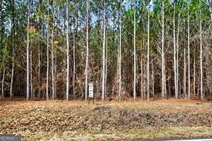 Lots 1/2/3 Lower Harmony Rd, Eatonton, GA 31024 - Photo 1