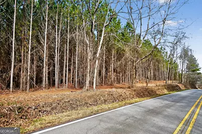 Lots 1/2/3 Lower Harmony Rd, Eatonton, GA 31024 - Photo 2