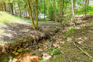 993 Lakeside Dr, Blairsville, GA 30512 - Photo 48