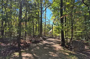 65 Eagle Bluff Rd, Menlo, GA 30731 - Photo 34