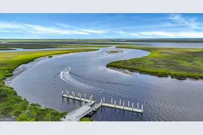 274 Mandeville Drive, Richmond Hill, GA 31324 - Photo 48