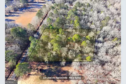Lot 18 Byrd Hill Drive, Dudley, GA 31022 - Photo 1