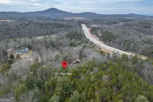 39 Lillian Wy, Blairsville, GA 30512 - Photo 44