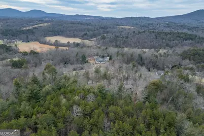 39 Lillian Way, Blairsville, GA 30512 - Photo 40