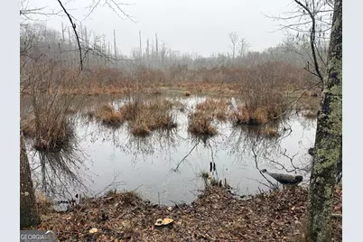 1170 Sleepy Hollow Road, Powder Springs, GA 30127 - Photo 4