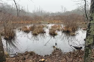 1170 Sleepy Hollow Rd, Powder Springs, GA 30127 - Photo 4