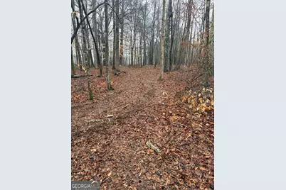 1170 Sleepy Hollow Road, Powder Springs, GA 30127 - Photo 6