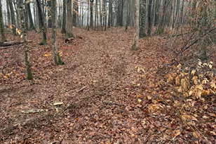 1170 Sleepy Hollow Rd, Powder Springs, GA 30127 - Photo 6